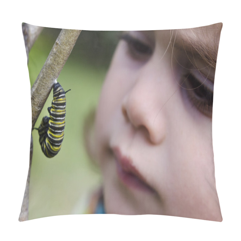 Personality  Monarch Butterfly Caterpillar Pillow Covers