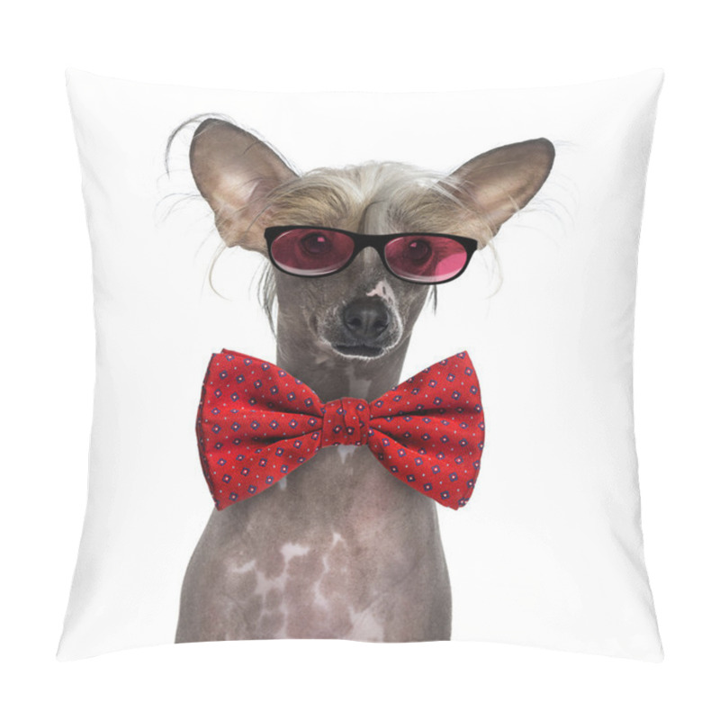 Personality  Hairless Chinese Crested Dog Wearing Glasses And A Bow Tie Pillow Covers