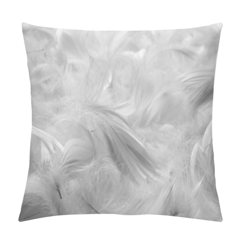 Personality  Feathers Bw Background Pillow Covers