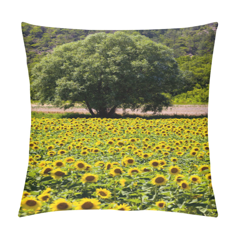 Personality  Sunflowers Pillow Covers