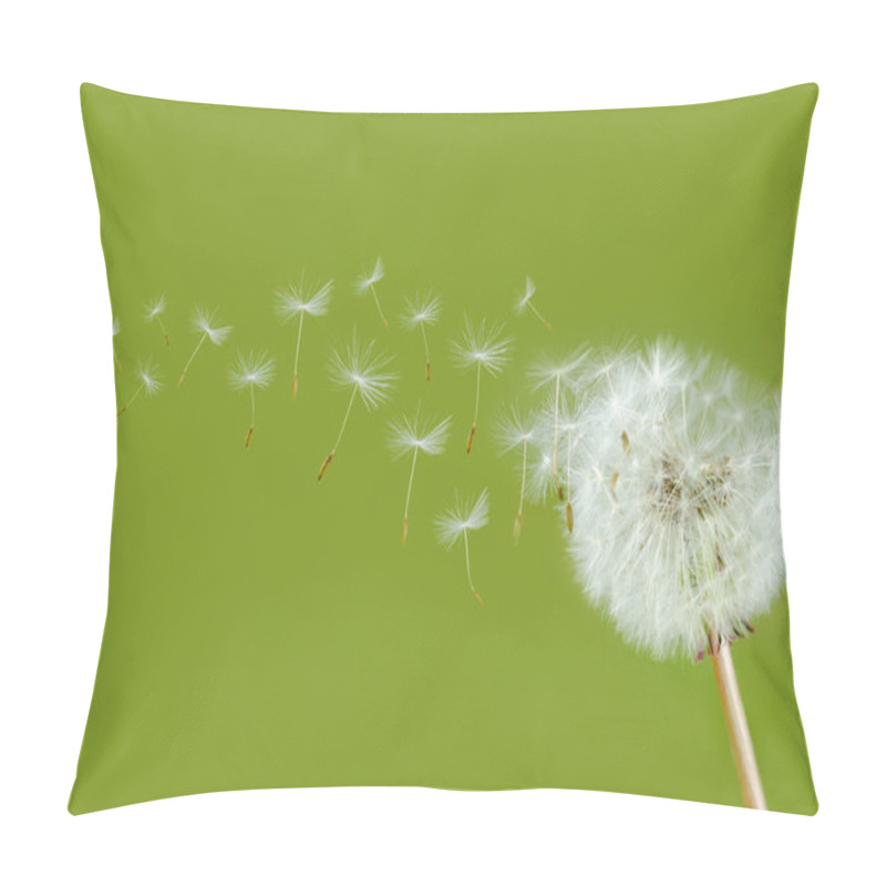 Personality  Dandelion Seed Head Pillow Covers