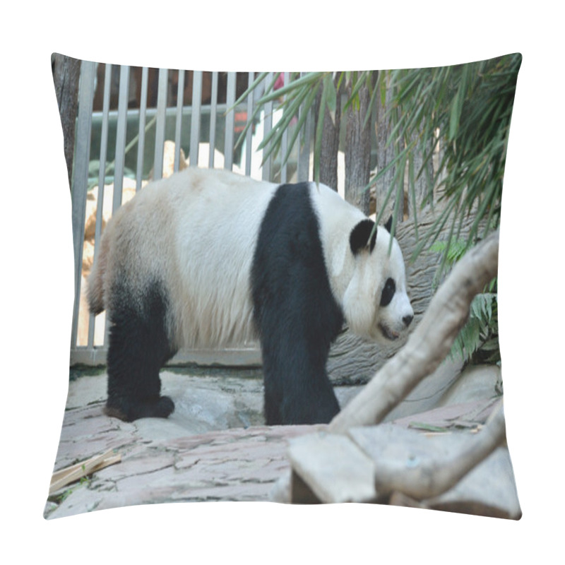 Personality  Giant Panda Pillow Covers