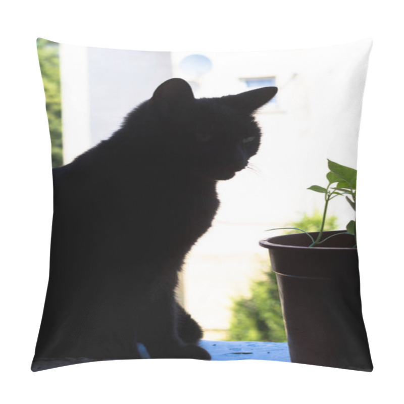 Personality  Hipster Cat In A Hipster Flat On A Hipster Window. Pillow Covers