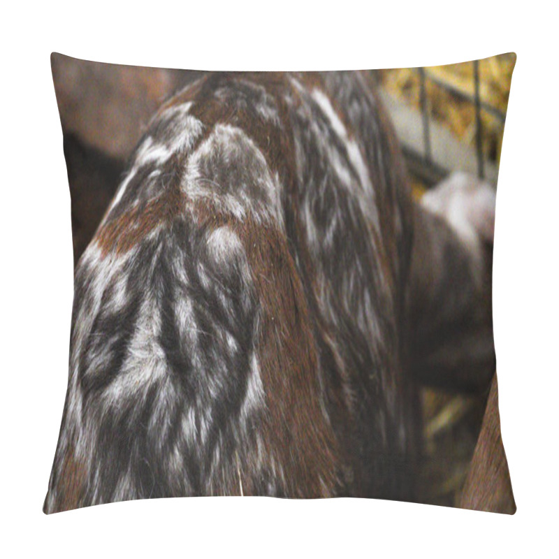 Personality  Background And Texture Of Animal Fur. Extreme Close-up Of Goat's Fur. A Fluffy, Soft Warm Coat Protects This Farm Animal From The Cold. Beautiful Shades Of Grey, Brown, White And Cream Pillow Covers