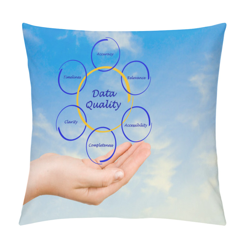 Personality  Diagram Of Data Quality Pillow Covers