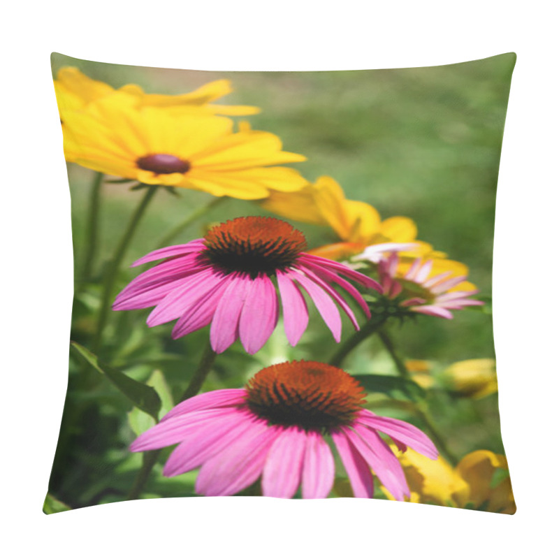 Personality  Black Eyed Susan And Pink Coneflower Daisy Garden Pillow Covers