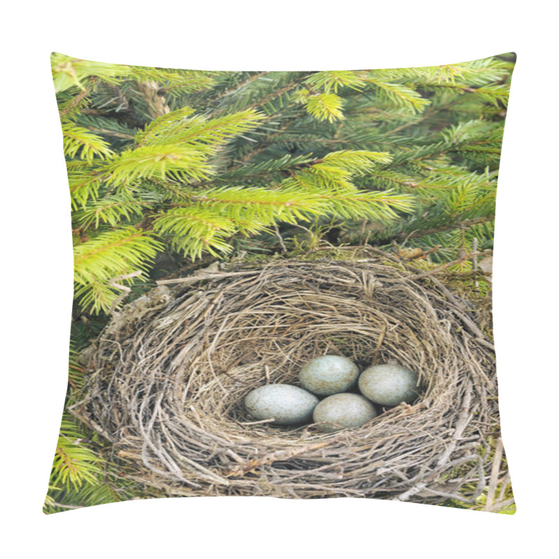 Personality  Detail Of Blackbird Eggs In Nest Pillow Covers