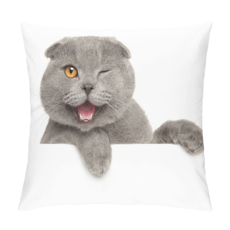 Personality  Winking Grey Cat Above Banner, Isolated On White Background Pillow Covers