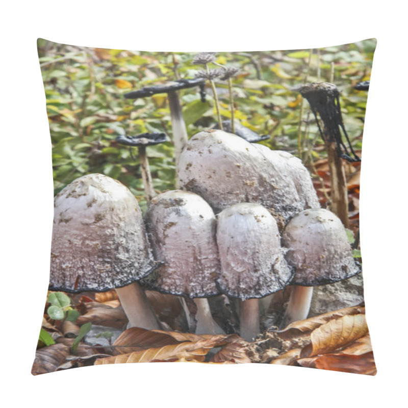 Personality  Lawyer's Wig Mushroom Pillow Covers