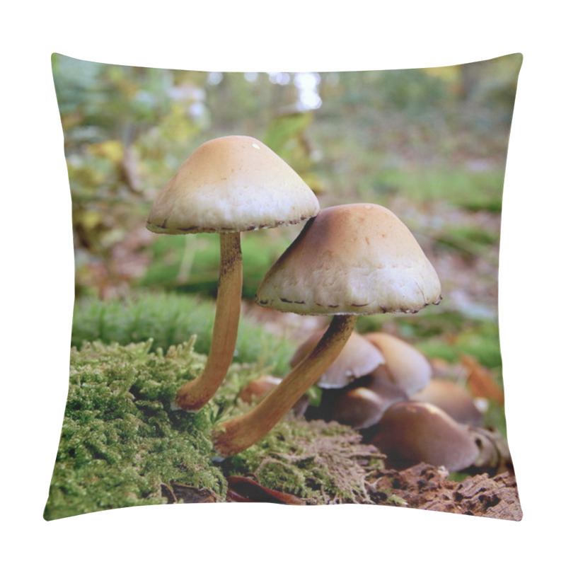 Personality  Toadstool / Mushroom Pillow Covers