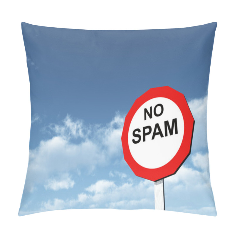 Personality  No Spam Pillow Covers