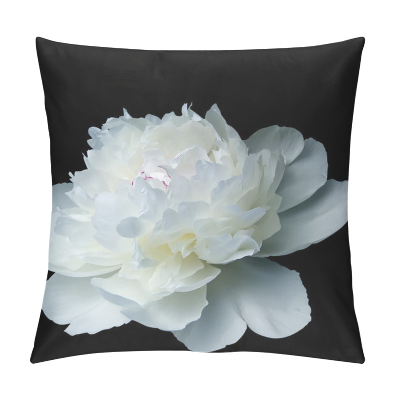 Personality  White Pion Pillow Covers