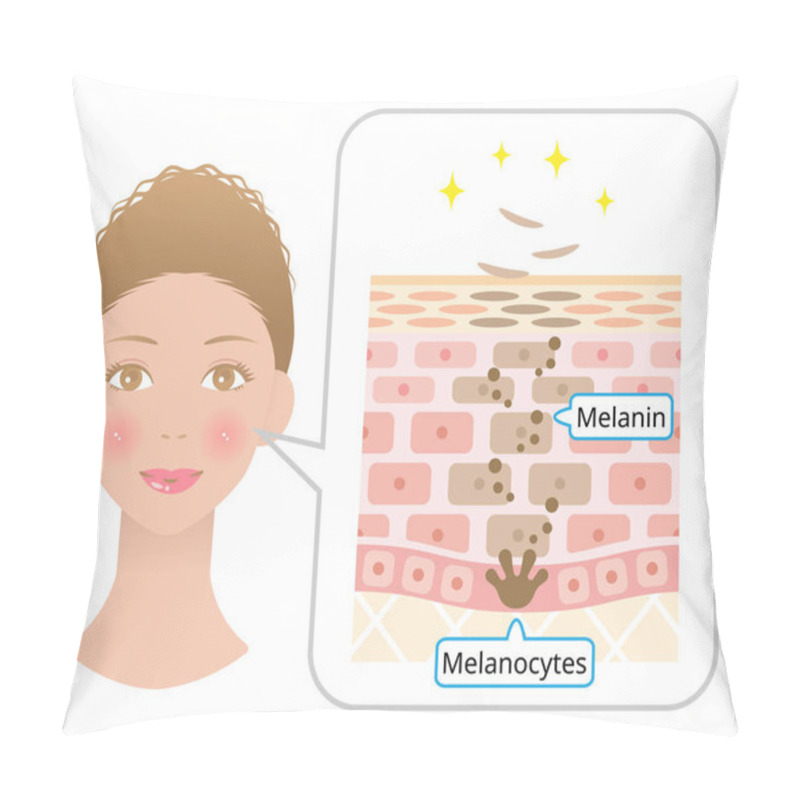 Personality  Human Skin Cell Turnover Anatomy And Black Woman Face. Beauty And Skin Care Concept. Pillow Covers