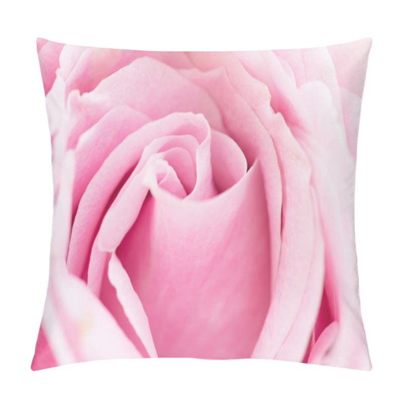 Personality  Close Up Of Pink Roses Pillow Covers