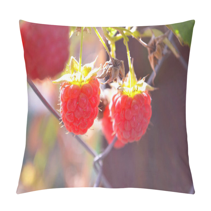 Personality  Raspberries Ripen On The Bush. Home Without Chemicals And Additives. Eco Raspberries. Red Raspberry Ripened On A Branch With Leaves. Ripe Red Raspberry Berries In Nature. Raspberry Branch With Berries Pillow Covers