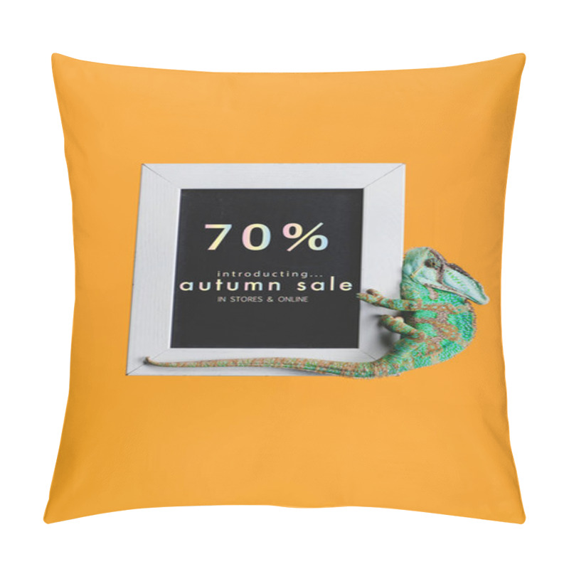 Personality  Bright Green Chameleon On Blackboard With Autumn Sale Isolated On Orange Pillow Covers