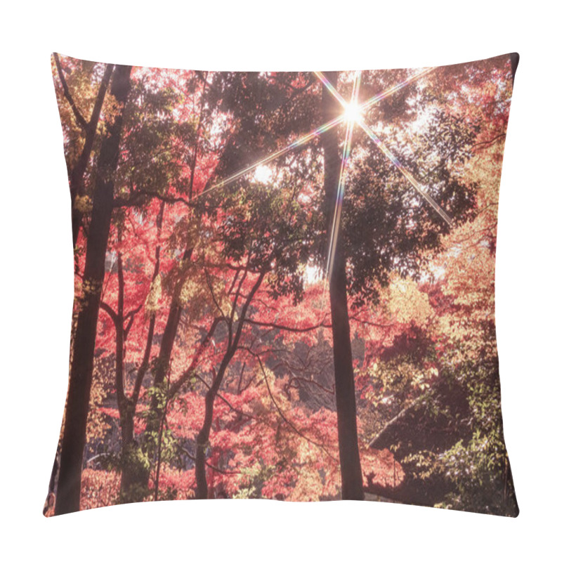 Personality  Autumn Leaves Of Koishikawa Paradise. Shooting Location: Bunkyo-ku, Tokyo Pillow Covers