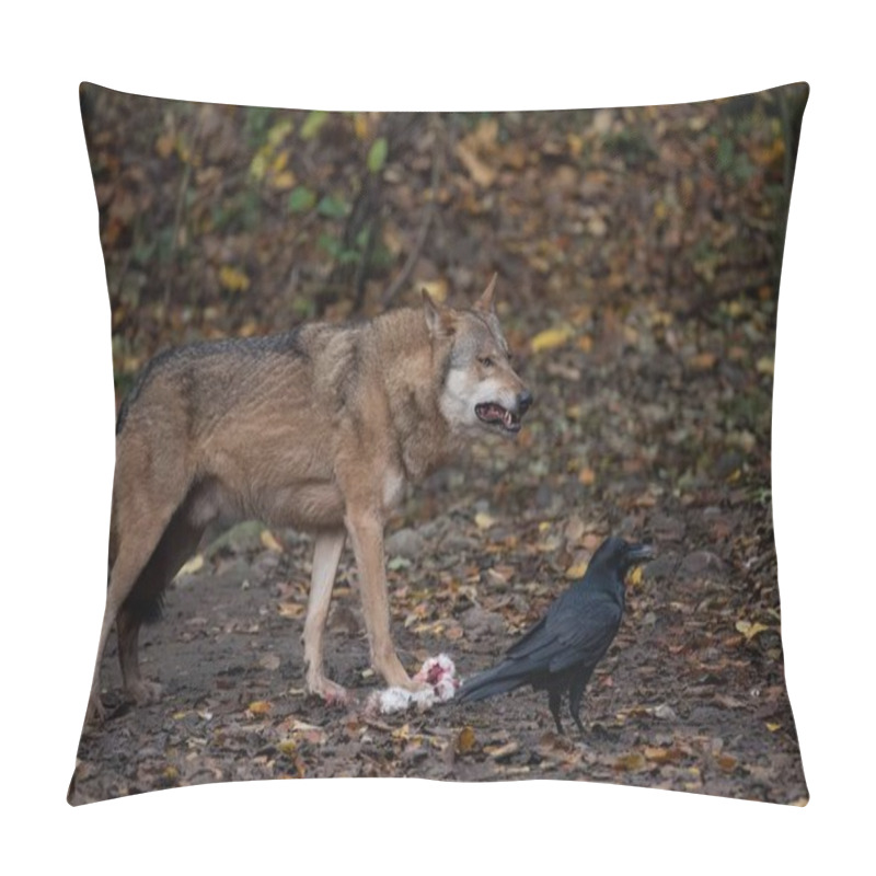 Personality  A Eurasian Wolf Eating The Prey In The Field With Ravens Pillow Covers