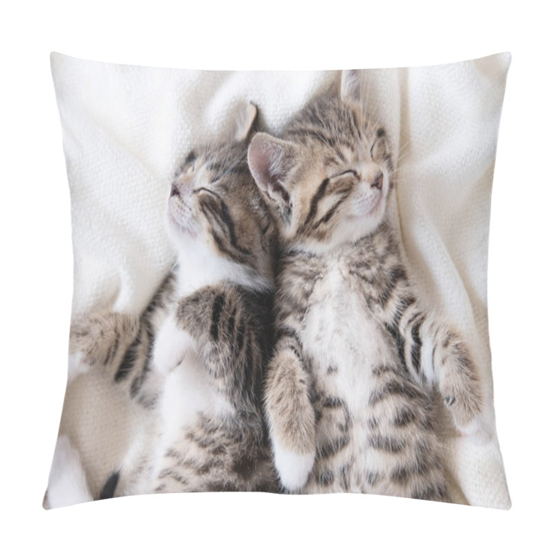 Personality  Two Small Striped Domestic Kittens Sleeping At Home Lying On Bed White Blanket Funny Pose. Cute Adorable Pets Cats Pillow Covers