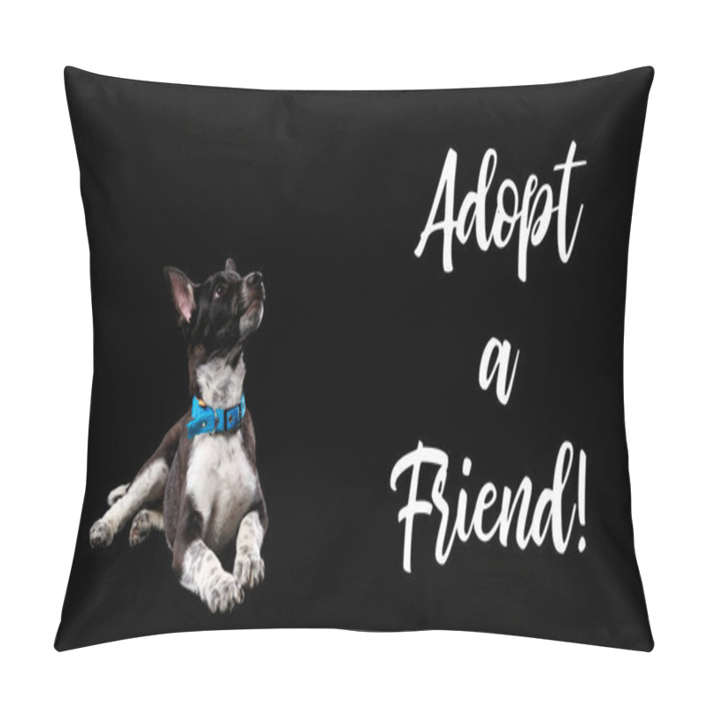 Personality  Dark Mongrel Dog In Blue Collar And Lettering Adopt A Friend Isolated On Black Pillow Covers