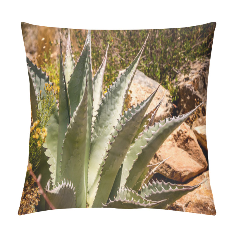 Personality  Agave Plant With Teeth Pillow Covers