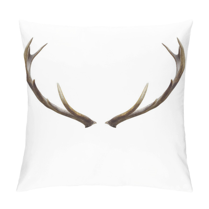 Personality  Deer Horns Isolated On White With Clipping Path. Pillow Covers