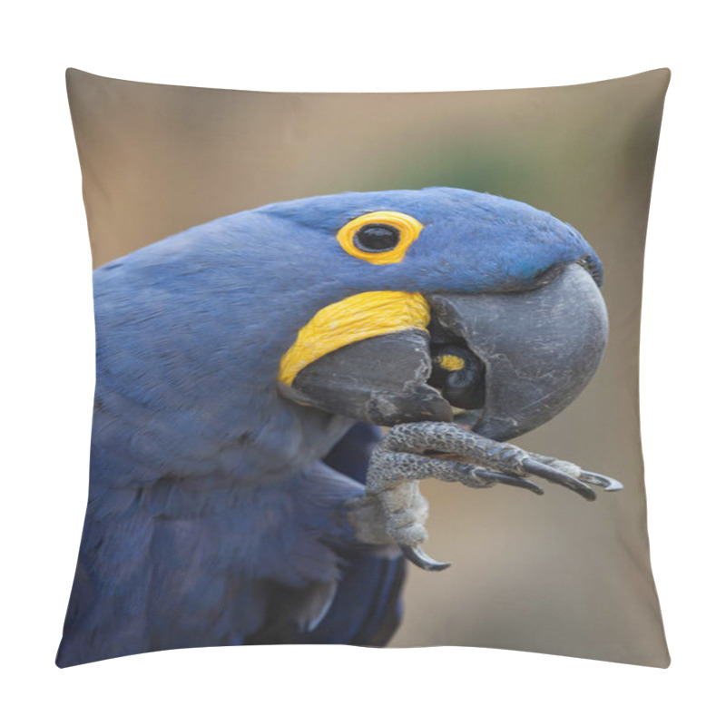 Personality  Hyacinth Macaw (Anodorhynchus Hyacinthinus). Pillow Covers