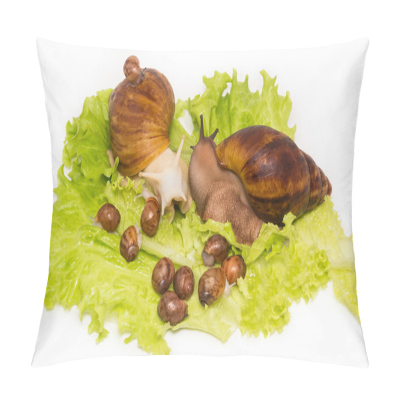 Personality  Pretty Little New-born Snails With Parents On Lettuce Pillow Covers