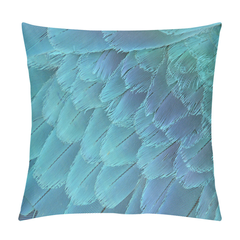 Personality  Close Up Of Blue And Yellow Macaw Wing Pillow Covers