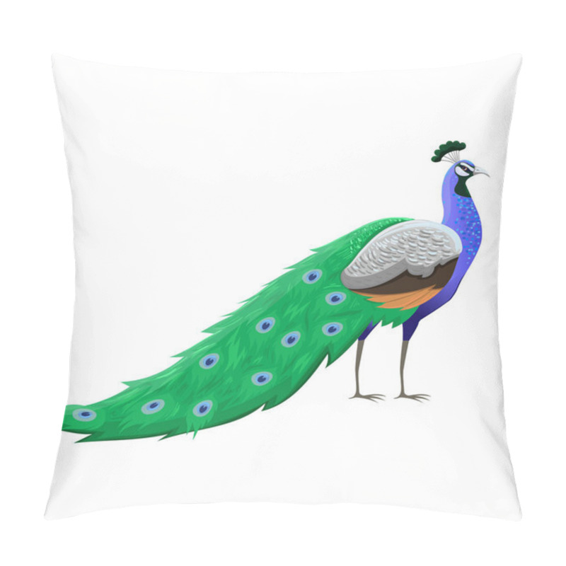 Personality  Peacock Bird Isolated On A White Background. Vector Graphics. Pillow Covers