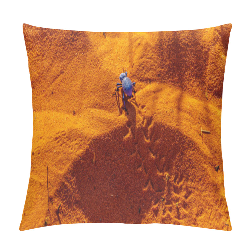 Personality  Blue Death-feigning Beetle Crawling Though The Red Desert Sand Of The Valley Of Fire State Park In Nevada, USA Pillow Covers