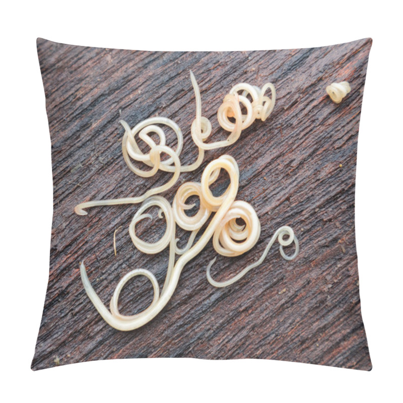 Personality  Helminths Toxocara Canis (also Known As Dog Roundworm) Or Parasitic Worms From Little Dog On Wood Background Pillow Covers