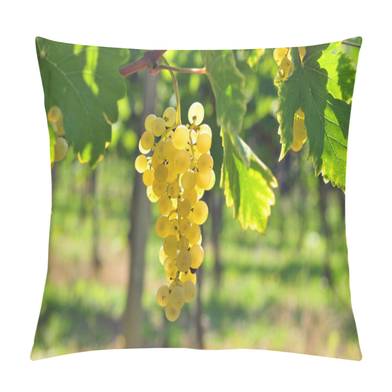 Personality  White Grapes Pillow Covers