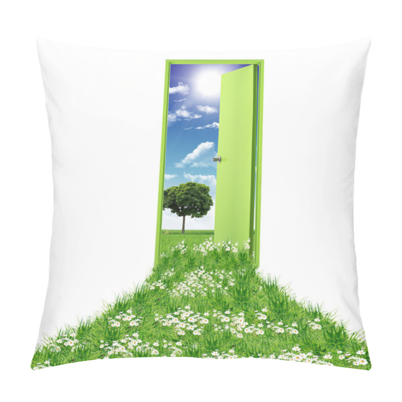 Personality  Open Door Leading To Summer Pillow Covers