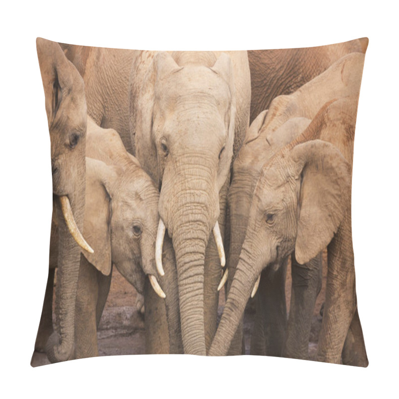 Personality  Herd Of Elephants In Addo Elephant National Park, South Africa Pillow Covers