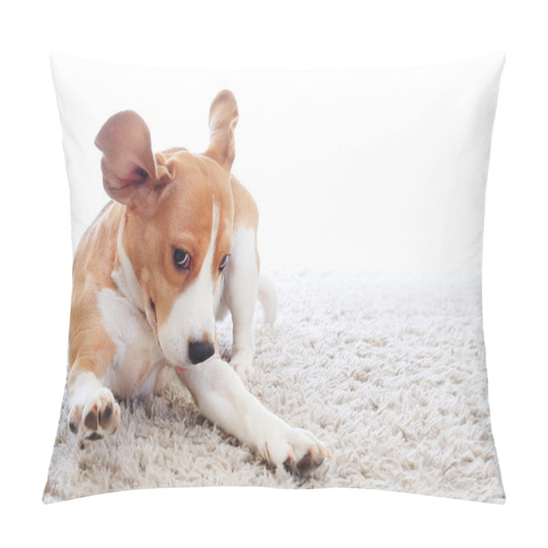 Personality  Funny Dog On Carpet Pillow Covers