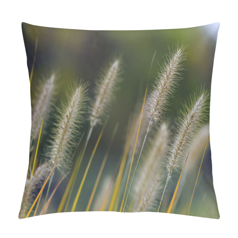 Personality  Foxtail Grass In Fall Season Pillow Covers