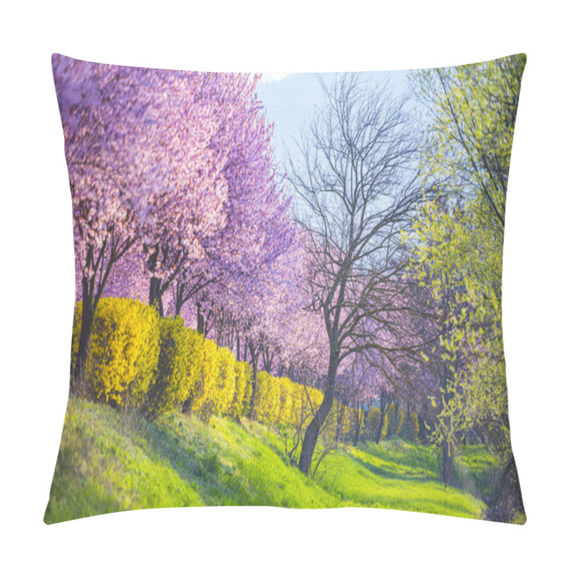 Personality  Garden With Blooming Sakura Trees In Spring Pillow Covers