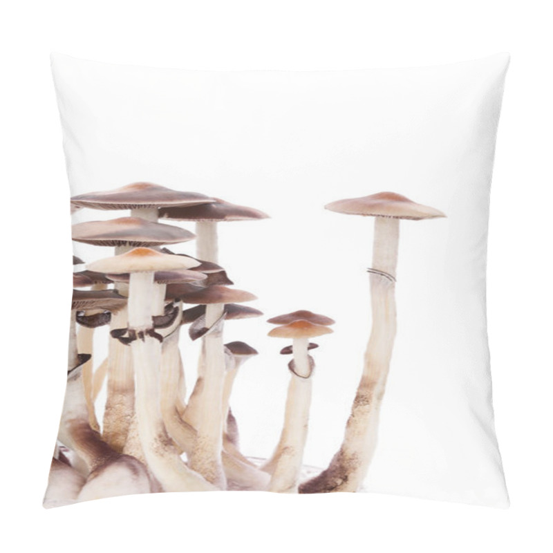 Personality  Psylocybin Magic Mushrooms Isolated. Pillow Covers