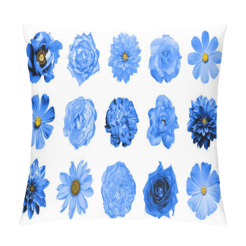 Personality  Mix Collage Of Natural And Surreal Blue Flowers 15 In 1: Dahlias, Primulas, Perennial Aster, Daisy Flower, Roses, Peony Isolated On White Pillow Covers