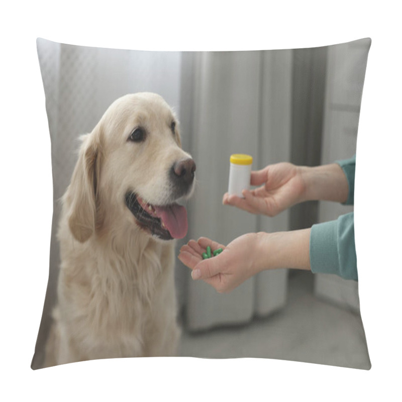 Personality  Woman Giving Pills To Cute Dog At Home, Closeup. Vitamins For Animal Pillow Covers