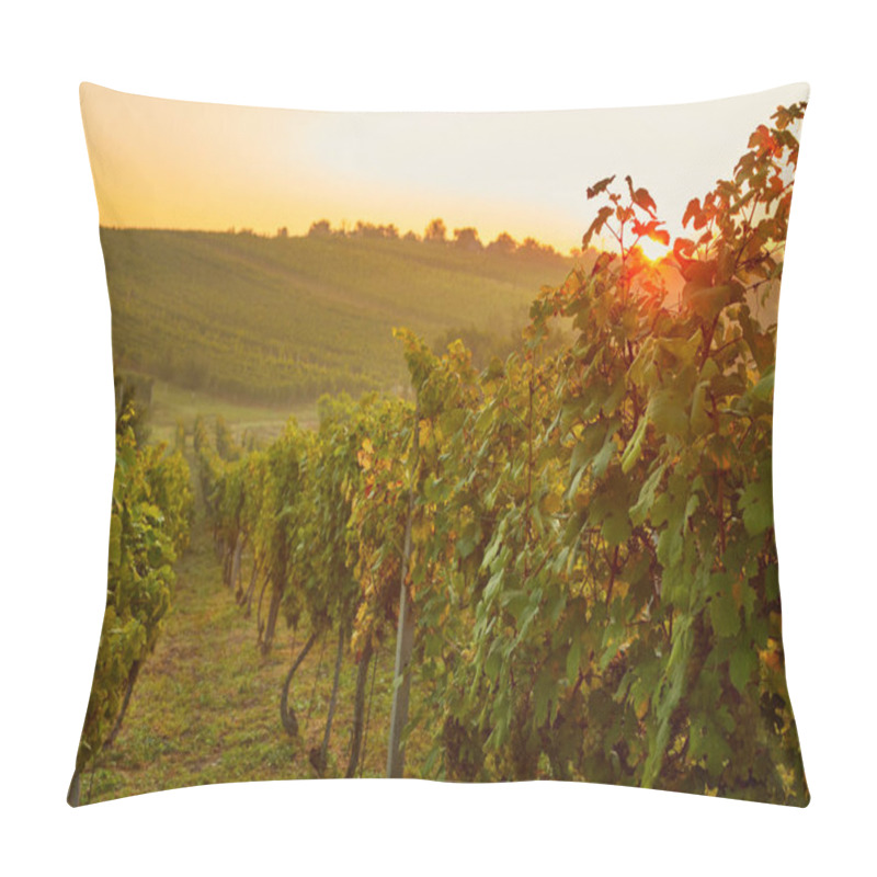 Personality  Vineyard Valley At Sunrise With Sunbeams Pillow Covers