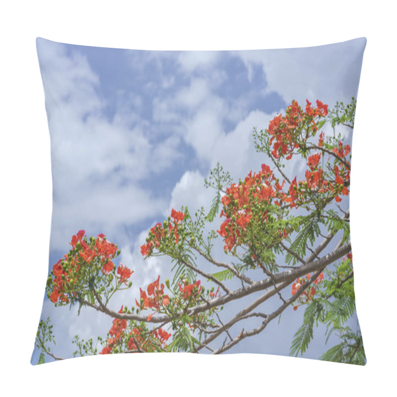 Personality  Red Royal Poinciana Flowers Bloom Pillow Covers