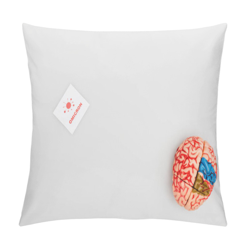 Personality  Top View Of Brain Model Near Card With Red Omicron Lettering And Bacteria On Grey Background Pillow Covers