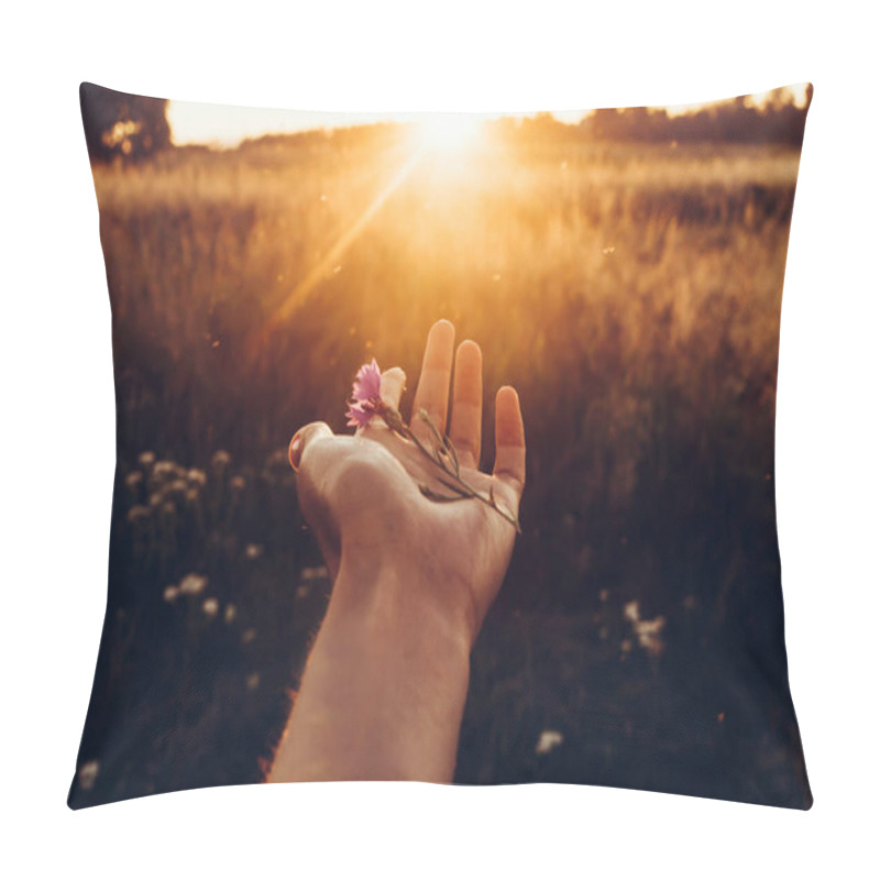 Personality  Hand Holding Cornflower At Sunset  Pillow Covers