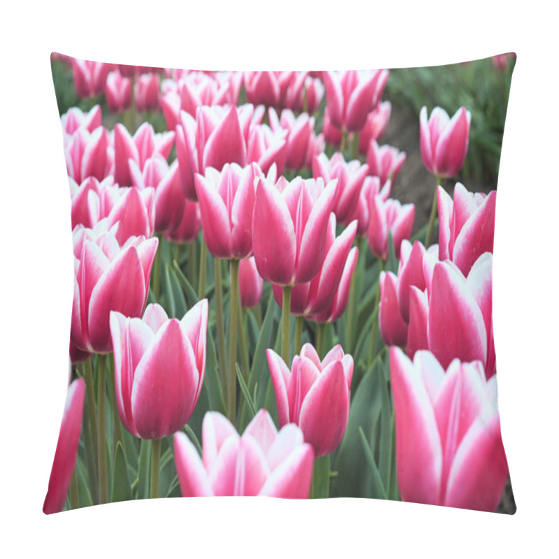 Personality  Springtime Pillow Covers