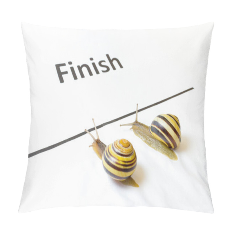 Personality  Two Snails Sliding To Finish Pillow Covers