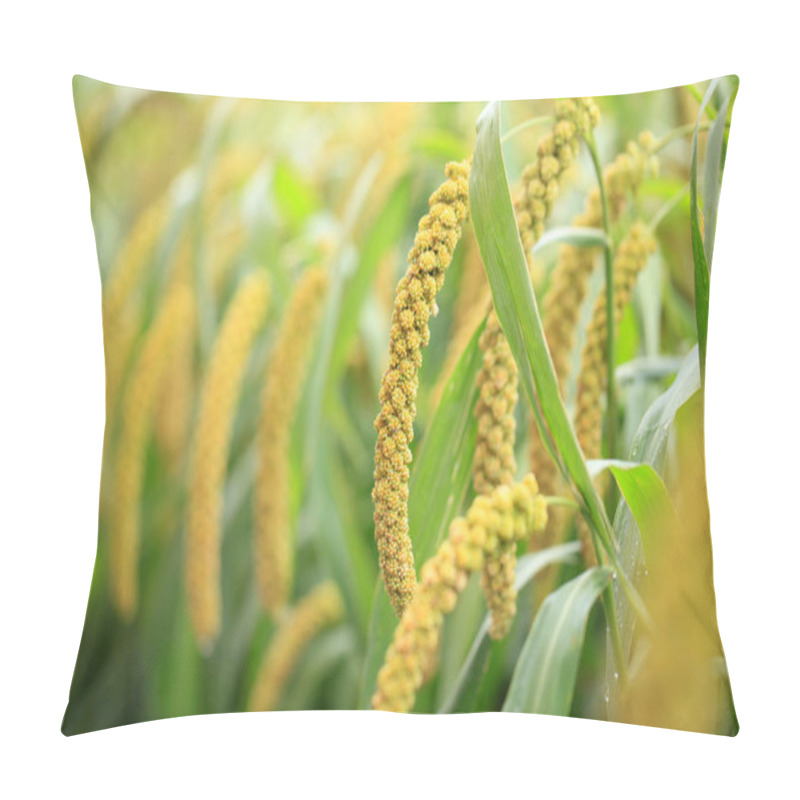 Personality   Foxtail Millet Pillow Covers