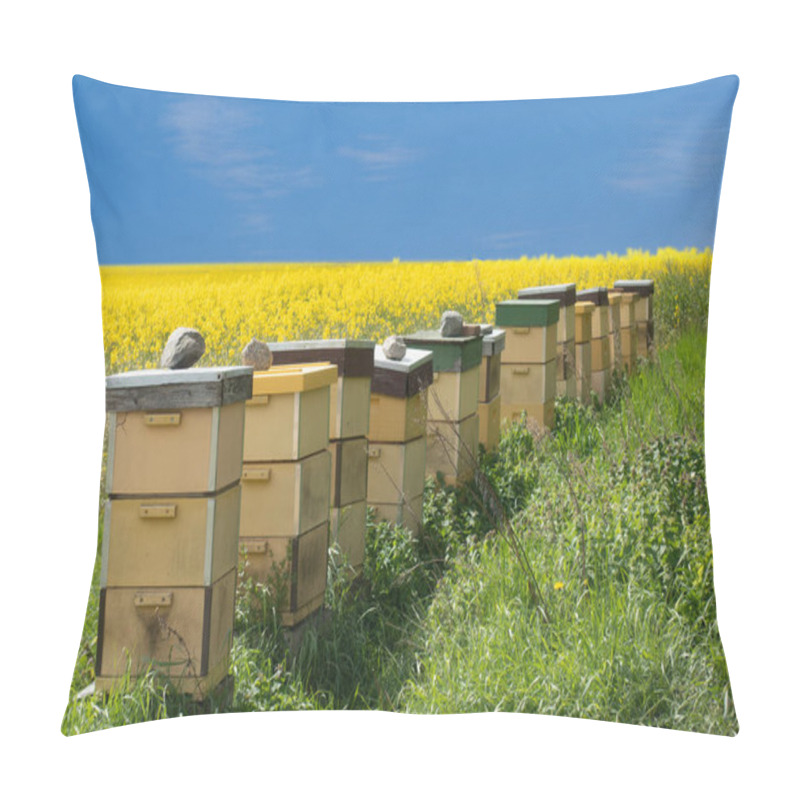 Personality  Row Of Beehives With Yellow Rapeseed Field And Bright Blue Sky In Background Pillow Covers