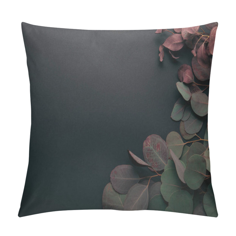 Personality  Top View Of Eucalyptus Leaves On Black With Copy Space Pillow Covers